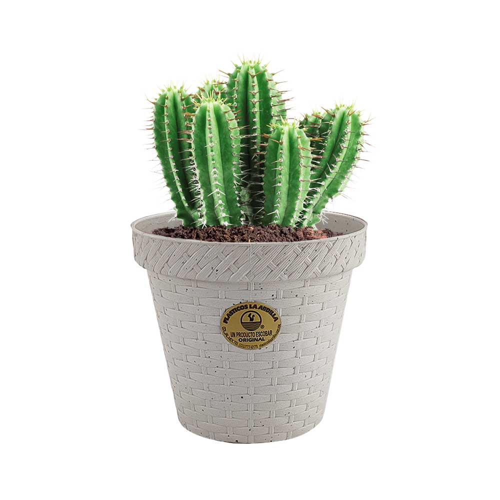 Maceta rattan redonda
