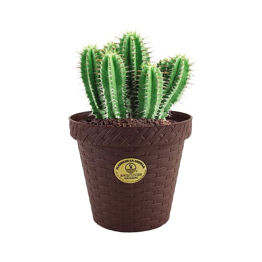 Maceta rattan redonda